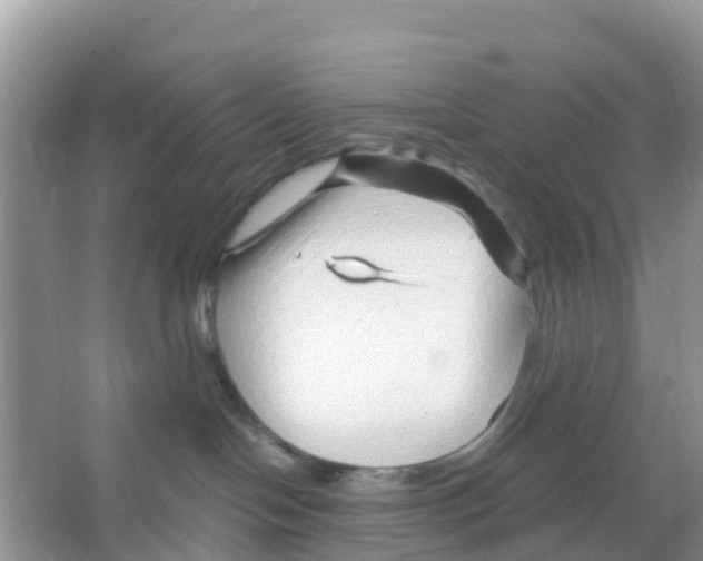 X0000066020094200603312100