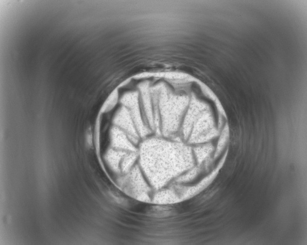 X0000066020095200603312100