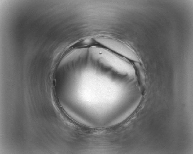 X0000066020097200603312059