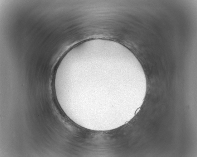 X0000066020098200603312059