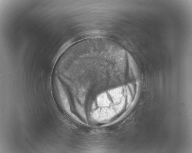 X0000066020099200603312059