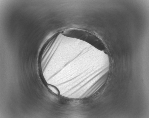 X0000066020102200603312059