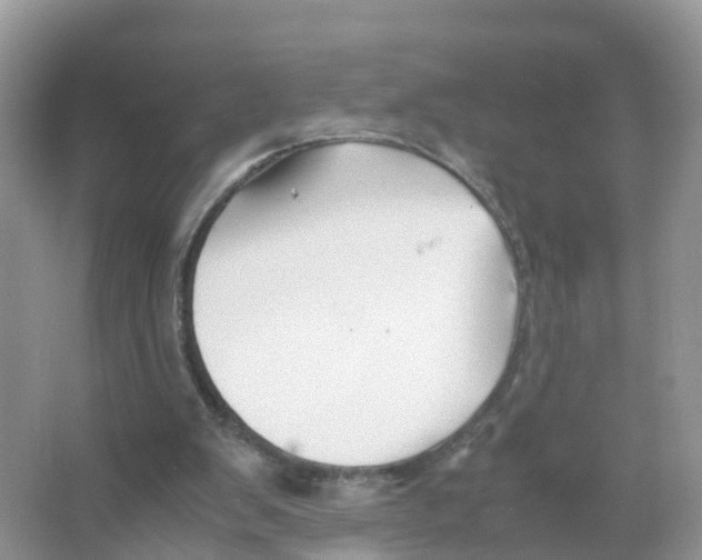 X0000066020103200603312059