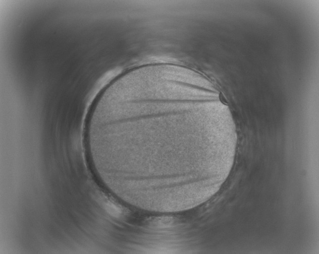 X0000066020104200603312059