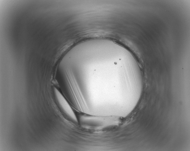 X0000066020105200603312059