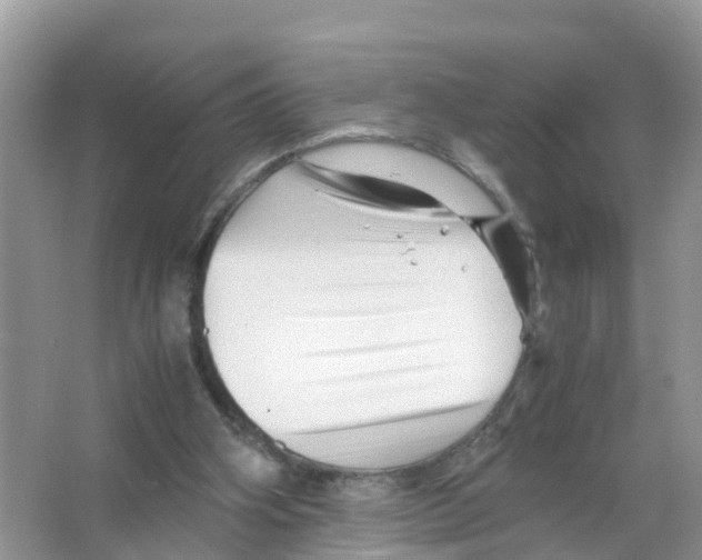 X0000066020106200603312059