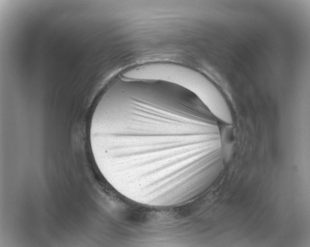 X0000066020107200603312059