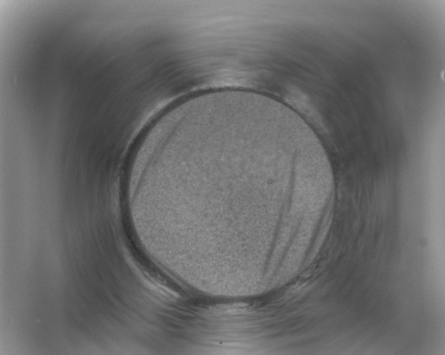 X0000066020108200603312059