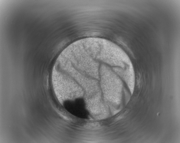 X0000066020110200603312059