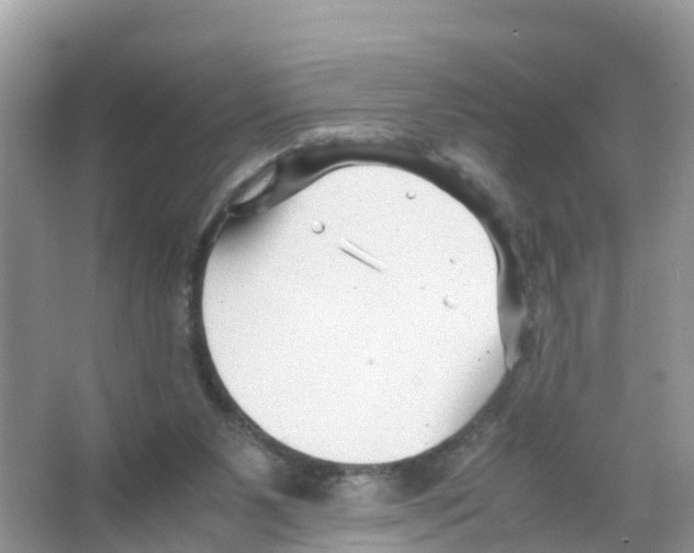 X0000066020111200603312059