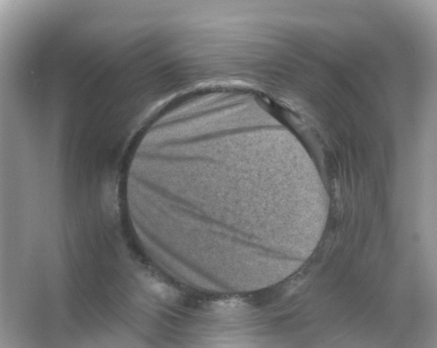 X0000066020112200603312059