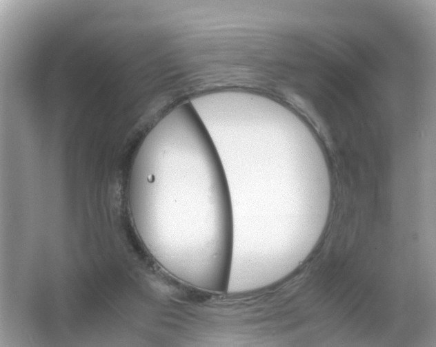 X0000066020113200603312059