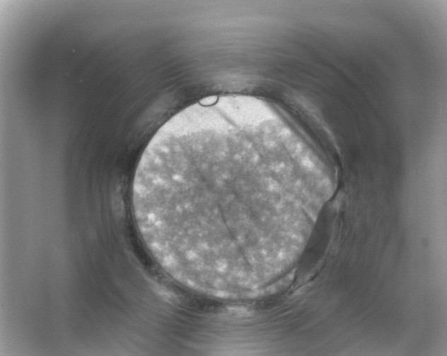 X0000066020114200603312059