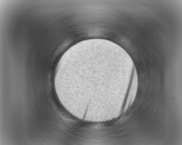 X0000066020116200603312059