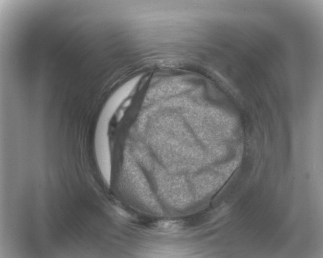 X0000066020117200603312059