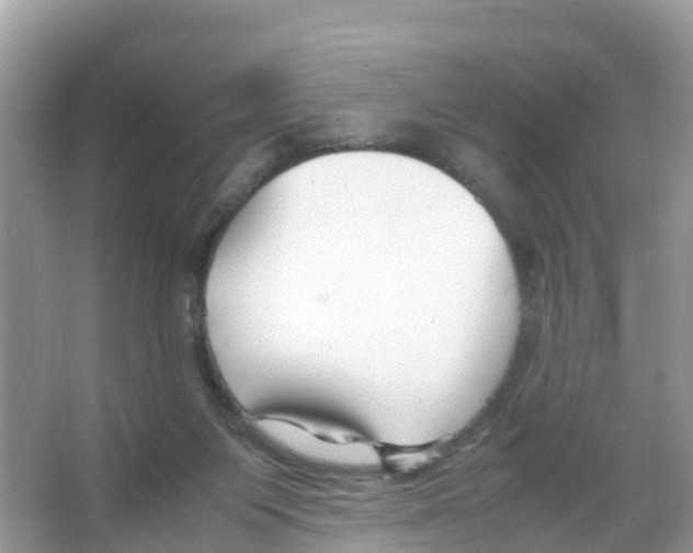 X0000066020119200603312059