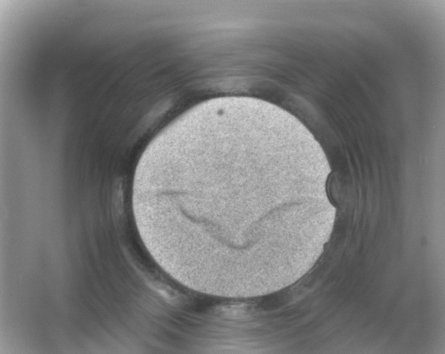 X0000066020120200603312059