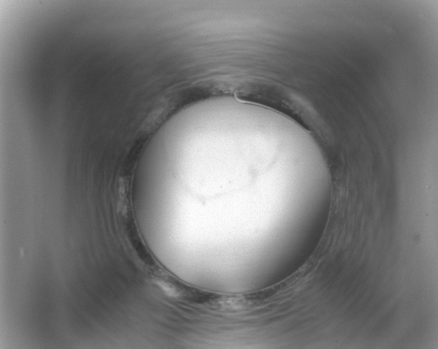 X0000066020121200603312059