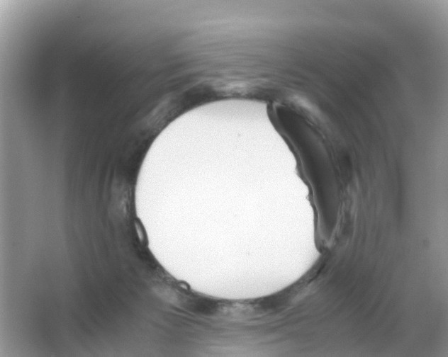 X0000066020125200603312059