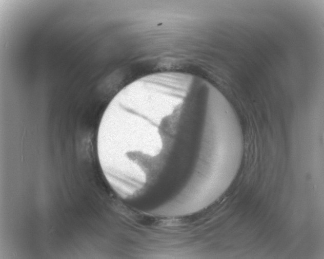 X0000066020127200603312059