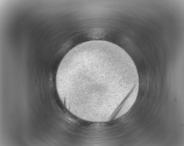 X0000066020128200603312059