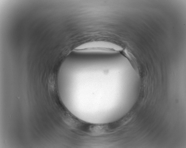 X0000066020129200603312059