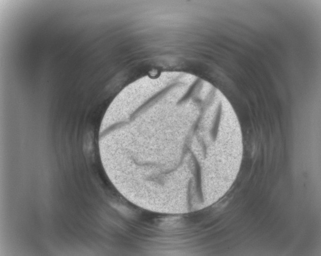 X0000066020132200603312059