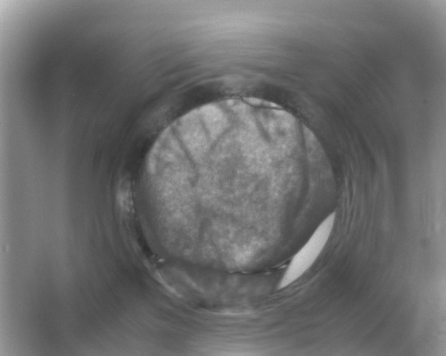 X0000066020137200603312059