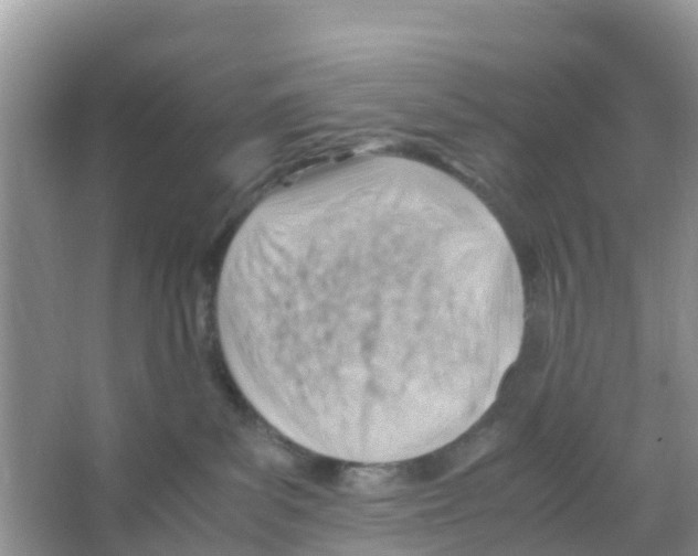 X0000066020139200603312059