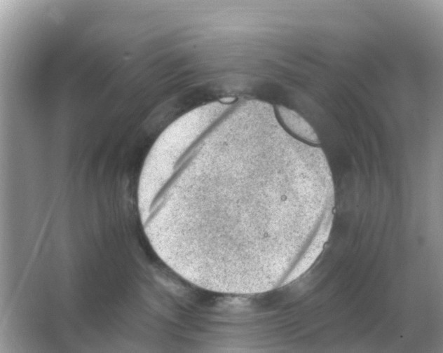 X0000066020140200603312059