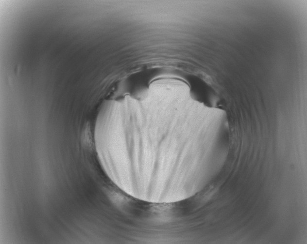 X0000066020143200603312059