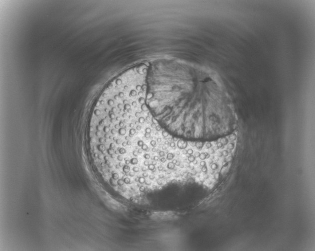 X0000066020145200603312058