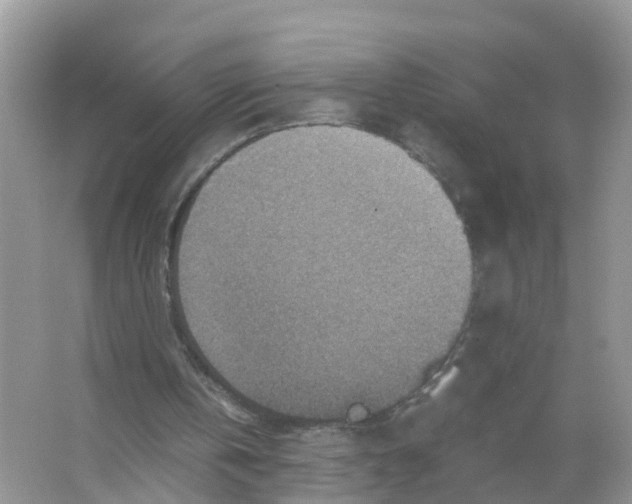 X0000066020146200603312058