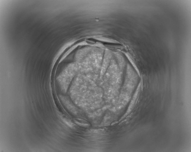 X0000066020147200603312058