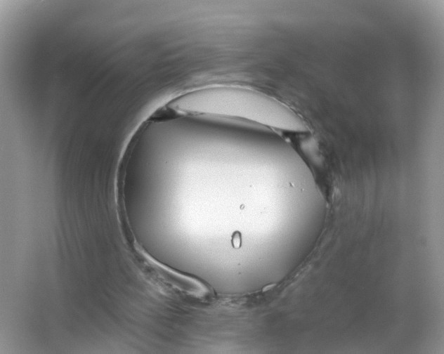 X0000066020148200603312058