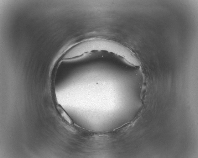 X0000066020150200603312058