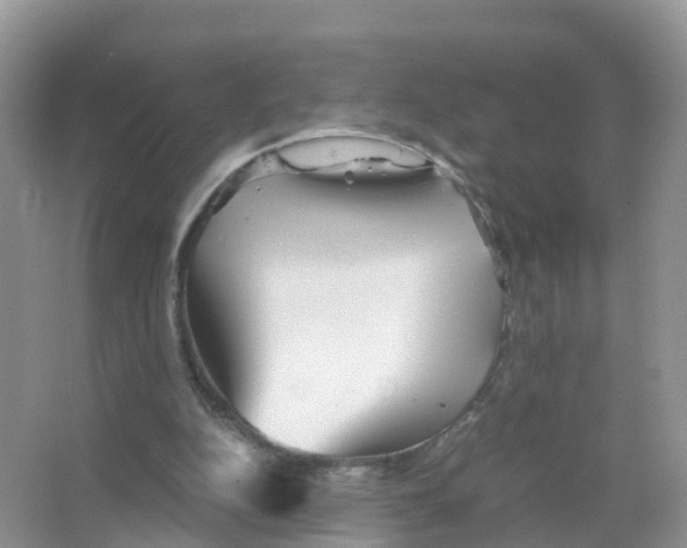 X0000066020152200603312058