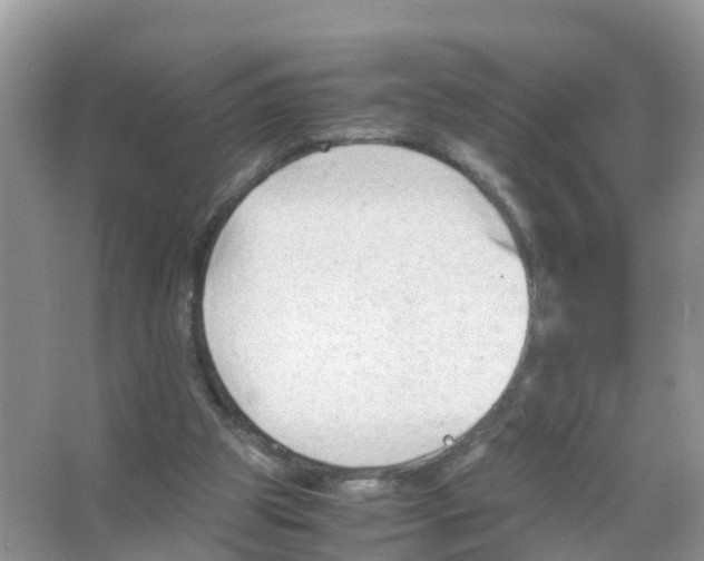 X0000066020153200603312058