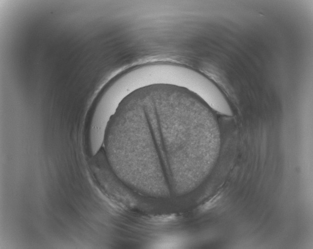 X0000066020156200603312058