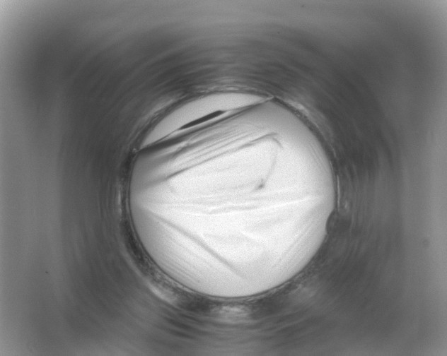 X0000066020157200603312058