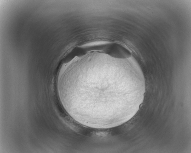 X0000066020163200603312058