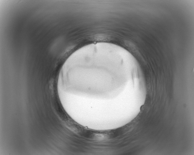 X0000066020167200603312058