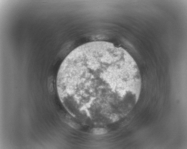 X0000066020169200603312058