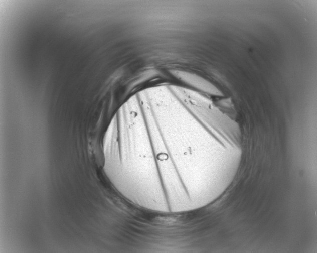 X0000066020170200603312058