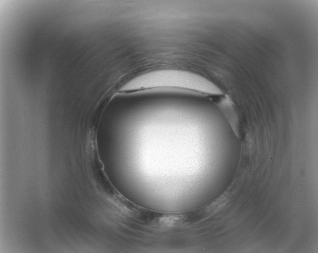 X0000066020172200603312058