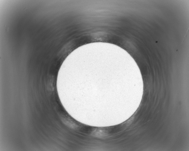 X0000066020174200603312058