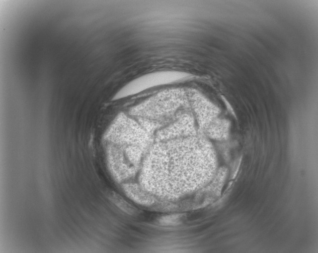 X0000066020178200603312058