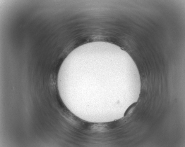 X0000066020179200603312058