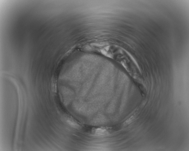 X0000066020180200603312058