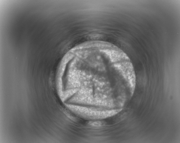 X0000066020181200603312058